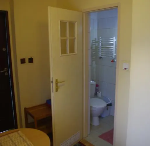 宾馆 扎亚兹德比亚里多姆宾馆 3*