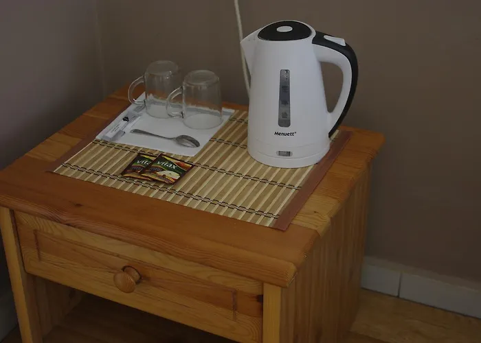 宾馆 扎亚兹德比亚里多姆宾馆 3*